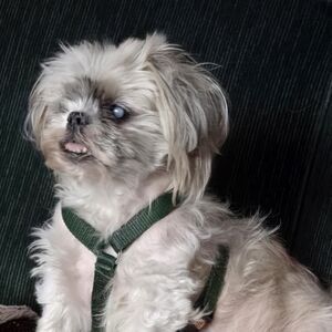 Meet your Posher, Tara